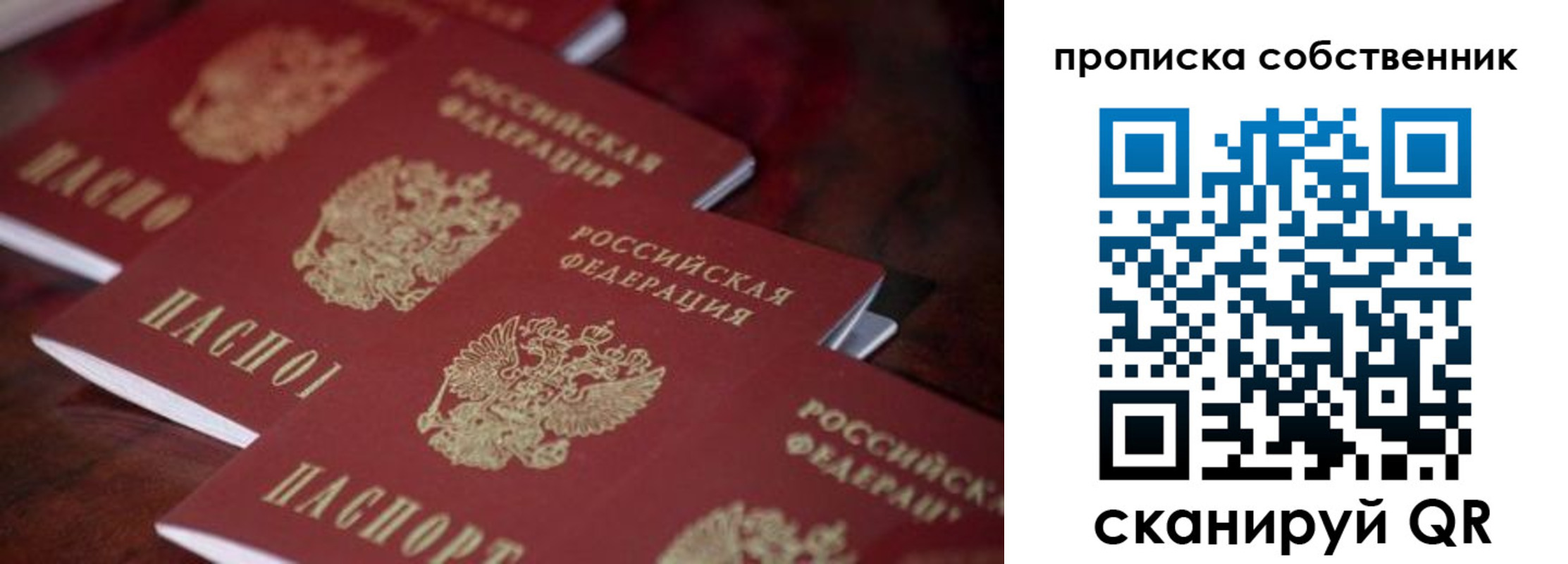 купить прописку в Саратовской области